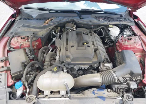 2020 Ford Mustang Ecoboost Fastback z USA, uszkodzony, nr VIN 1FA6P8TH3L5169609